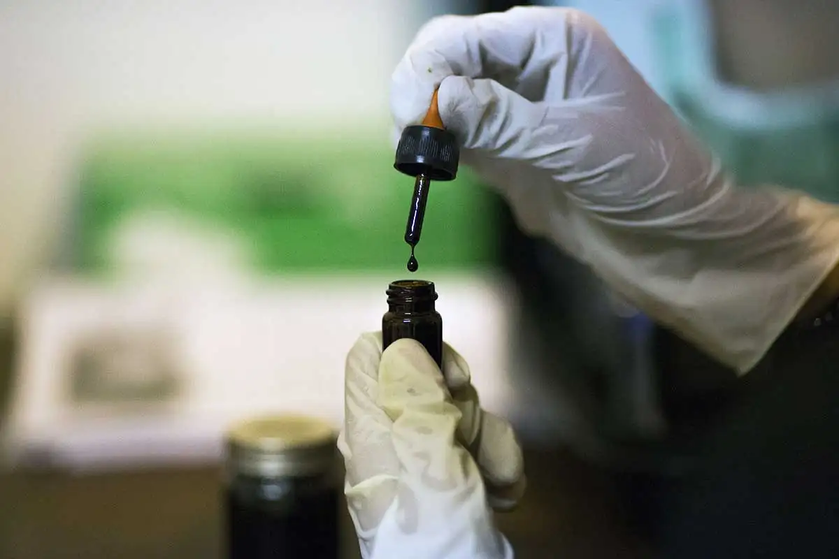 THC Cannabis Oil for Sale in Europe for Vape Pens & Cartridges