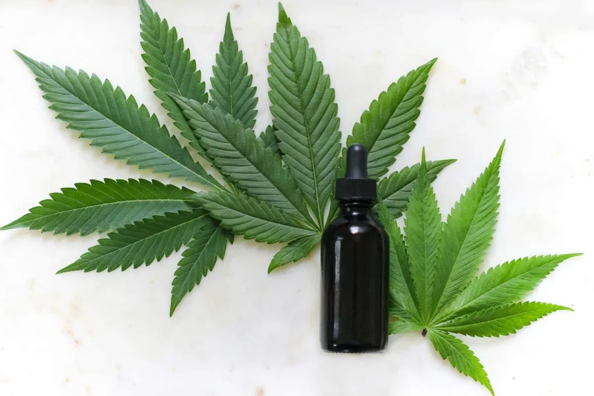 Buy Cannabis Tincture UK – Best THCA Strains Delivered to Your Door